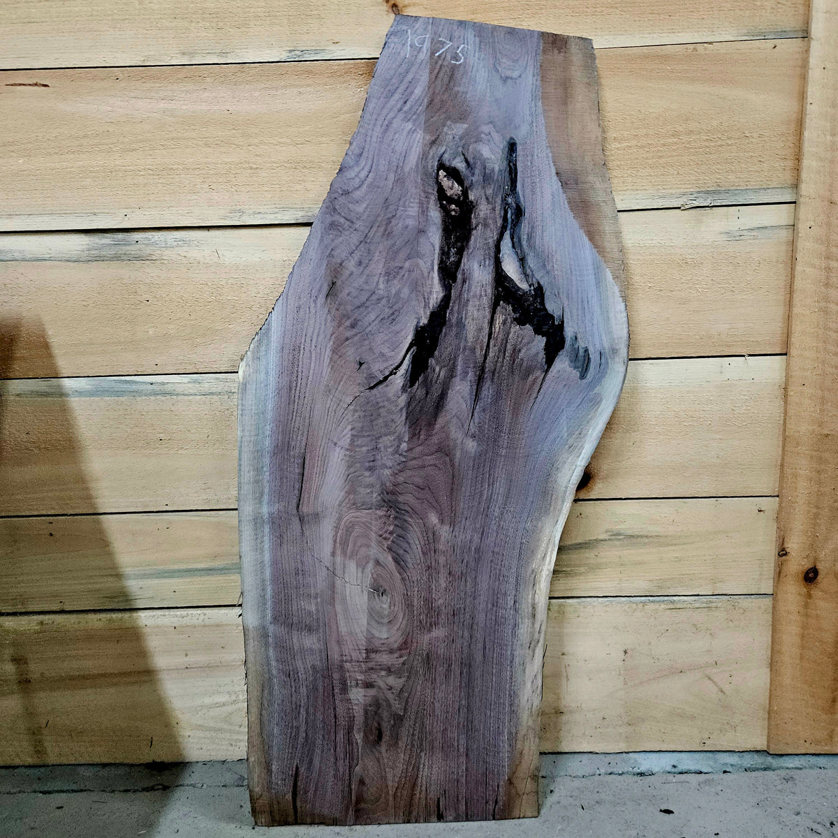 1975 Walnut Live Edge Slab – 42" × 12 - 18" × 6/4"