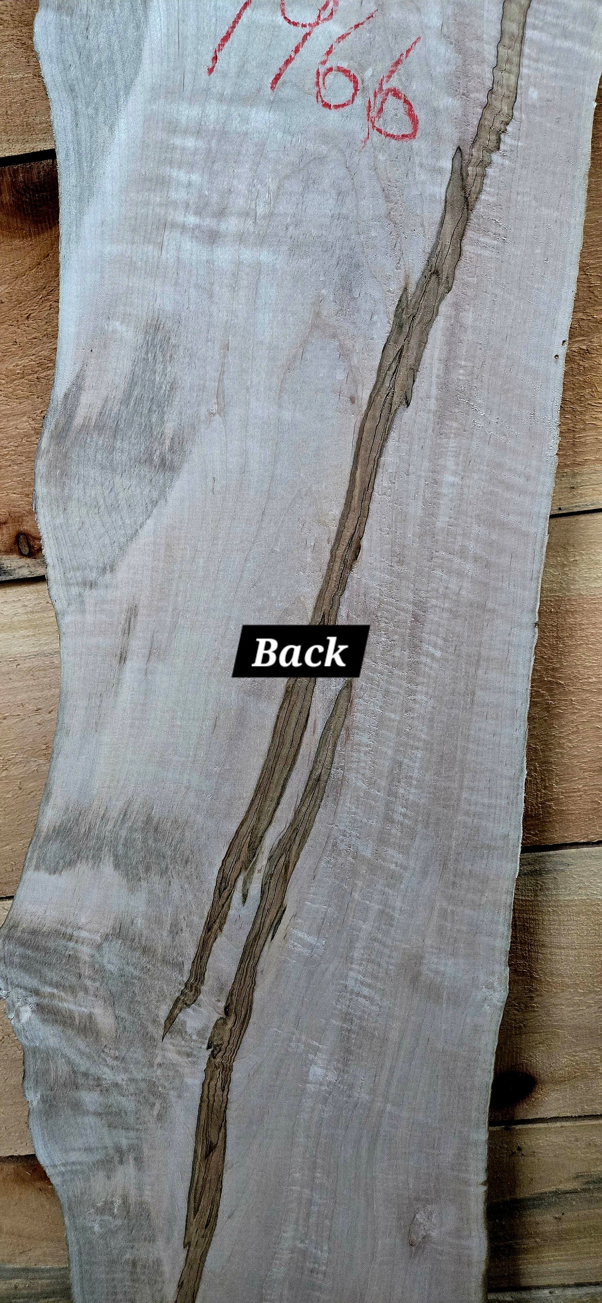 1966 Curly Maple Live Edge Slab – 52" x 5" - 7" × 6/4"