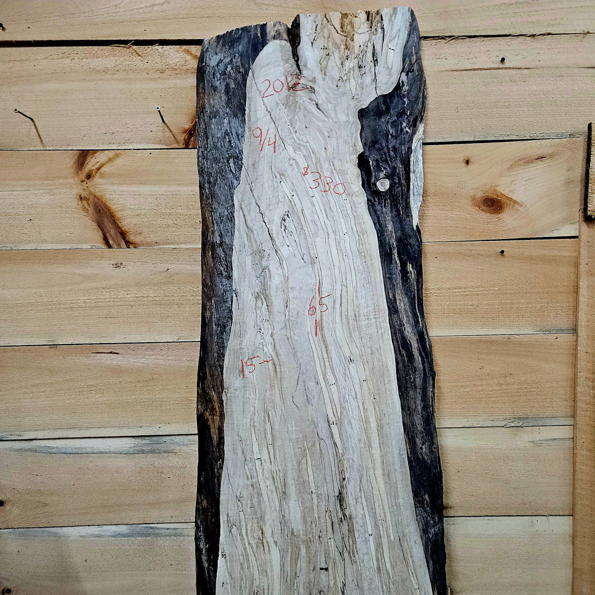 2012 Curly Spalted Ambrosia Maple Live Edge Slab – 65" × 15–20" × 9/4"