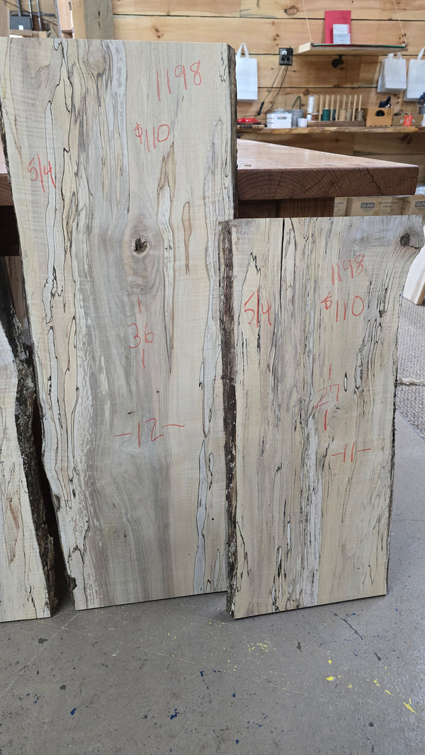 1198 Ambrosia Spalted Maple DIY Bundle