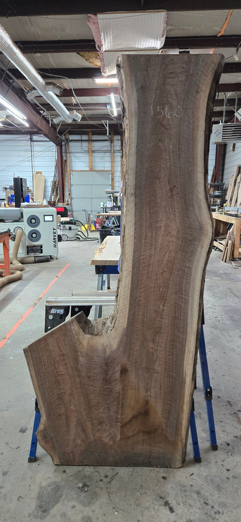 1560 Walnut Slab