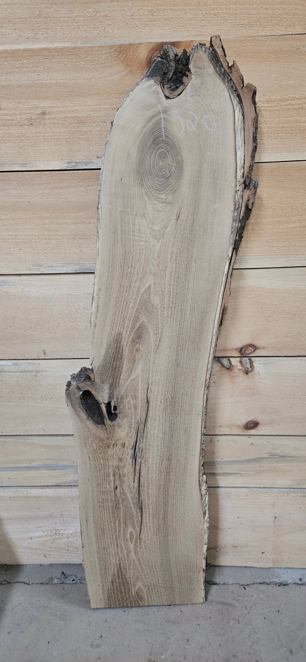Black Locust live edge slab #1720, view 2