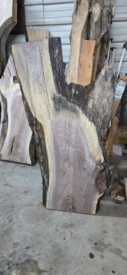 1534 Walnut Slab