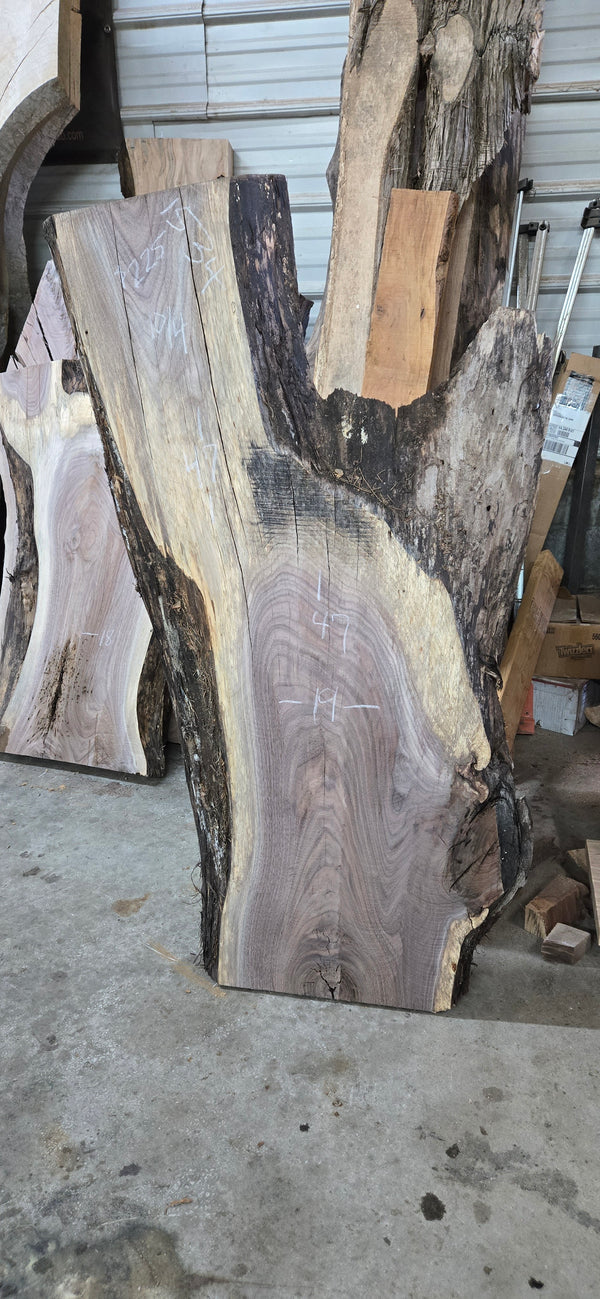 1534 Walnut Slab