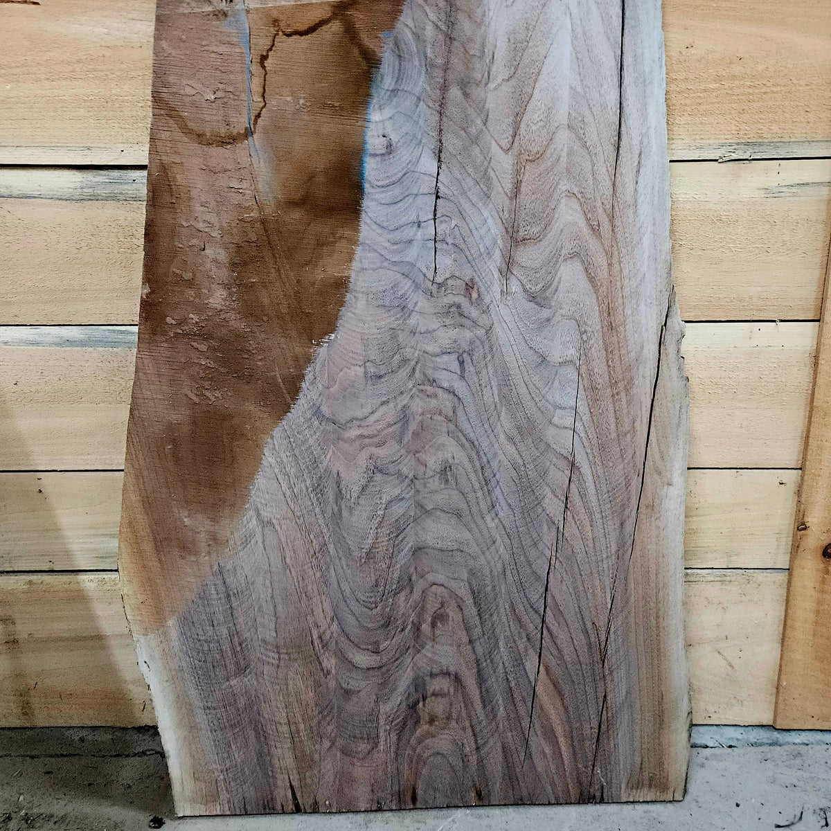 2023 Walnut Live Edge Slab – 41" × 23 - 27" × 9/4"