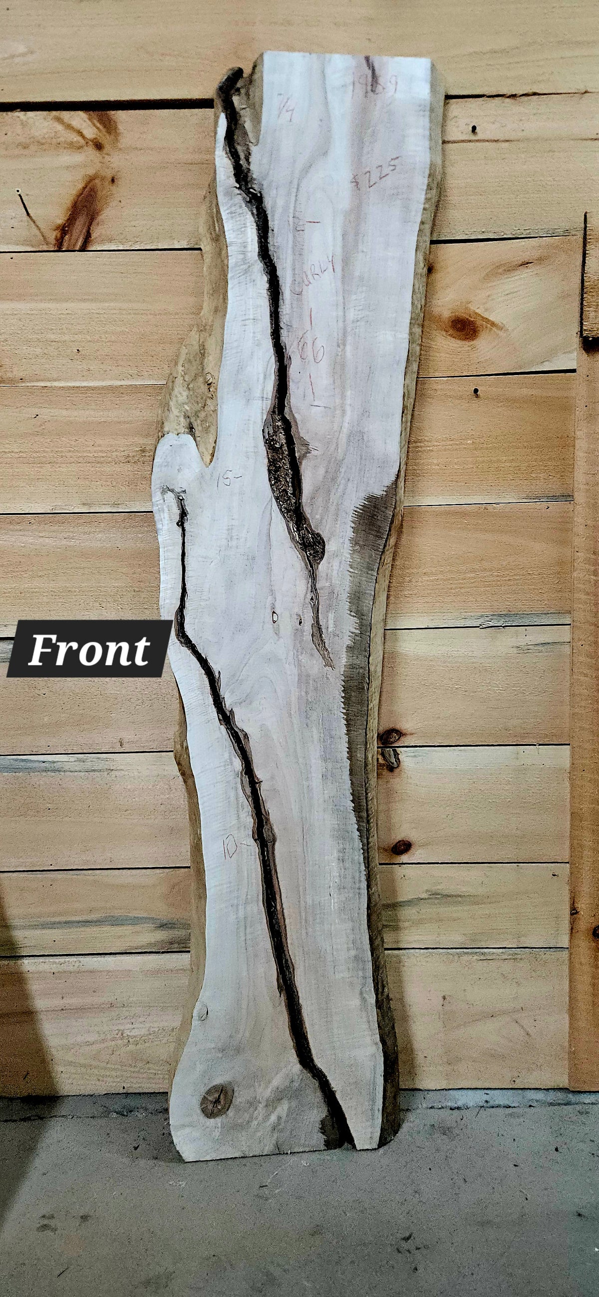 1959 Curly Maple Live Edge Slab – 66" x 10 - 15" × 7/4"