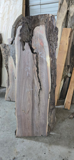 1546 Walnut Slab