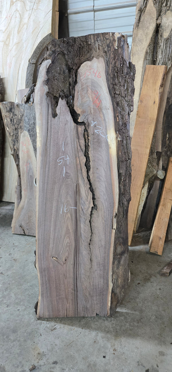 1546 Walnut Slab