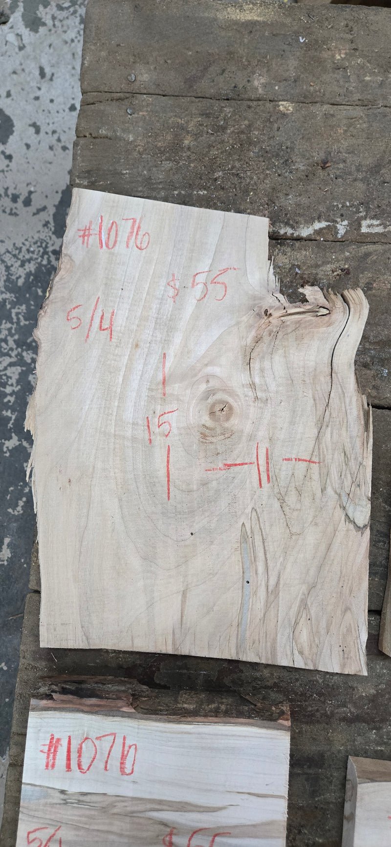 1076 Curly ambrosia Maple DIY bundle