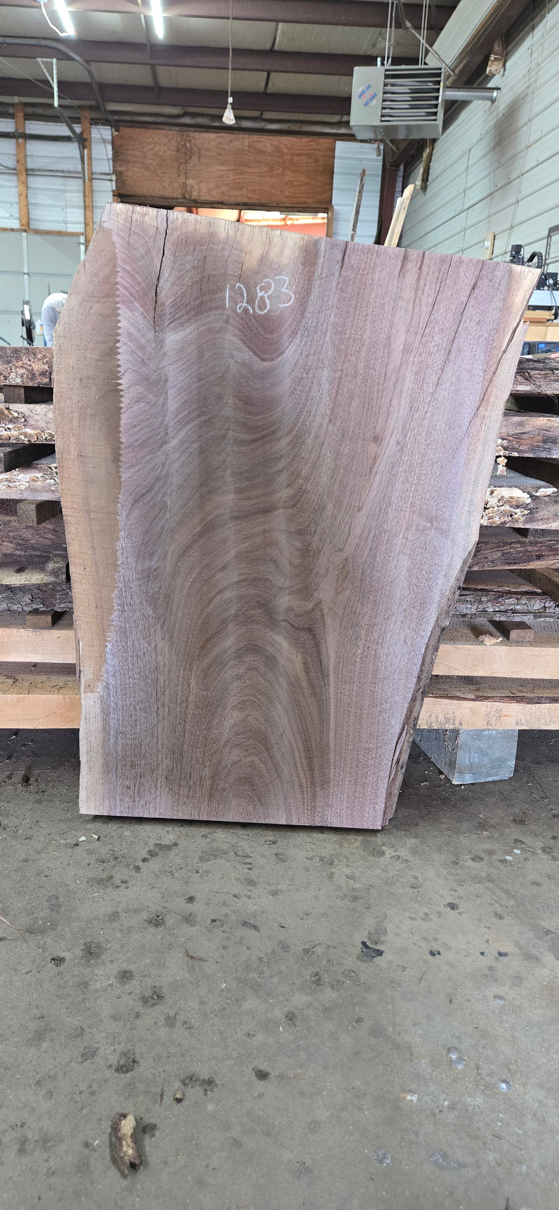 1283 Walnut Slab