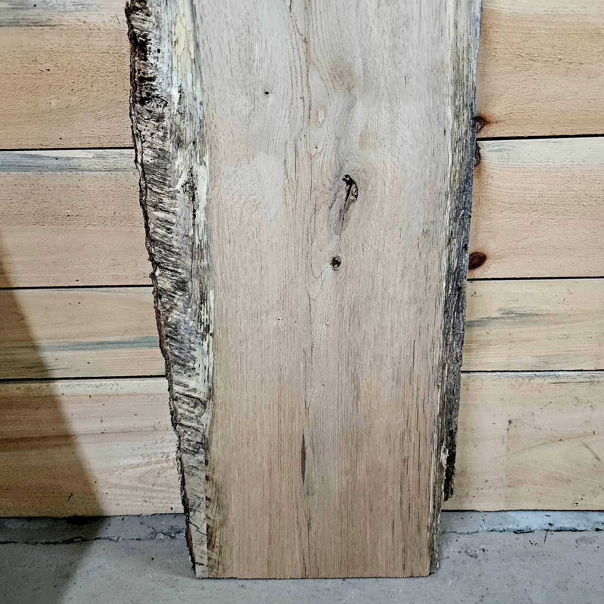 1967 White Oak Live Edge Slab – 40" × 15" × 8/4"