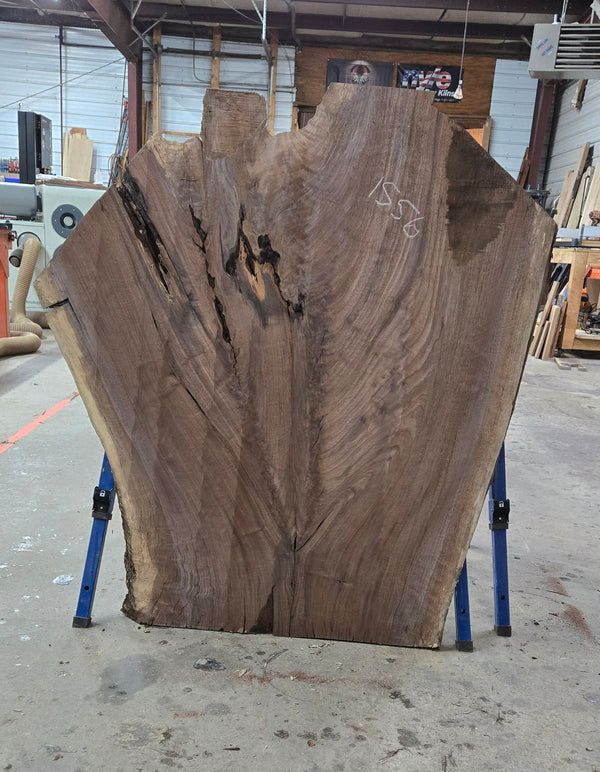 1556 Walnut Slab