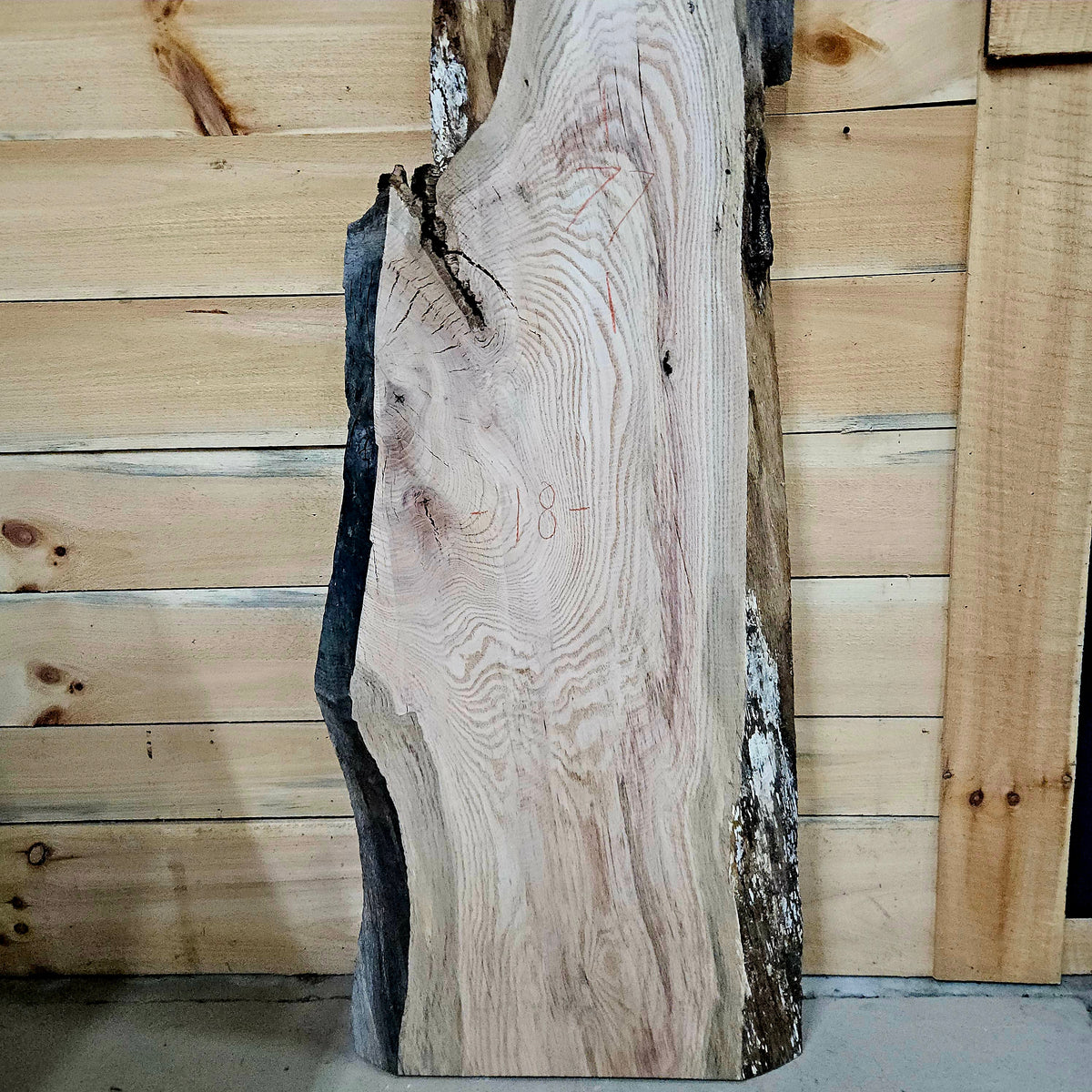 2029 Red Oak Live Edge Slab – 77" × 10–18" × 8/4"