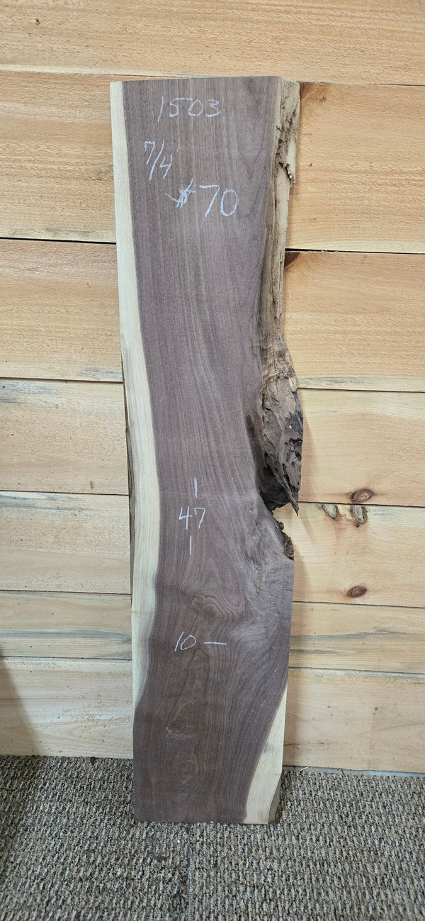 1503 Walnut DIY Bundle