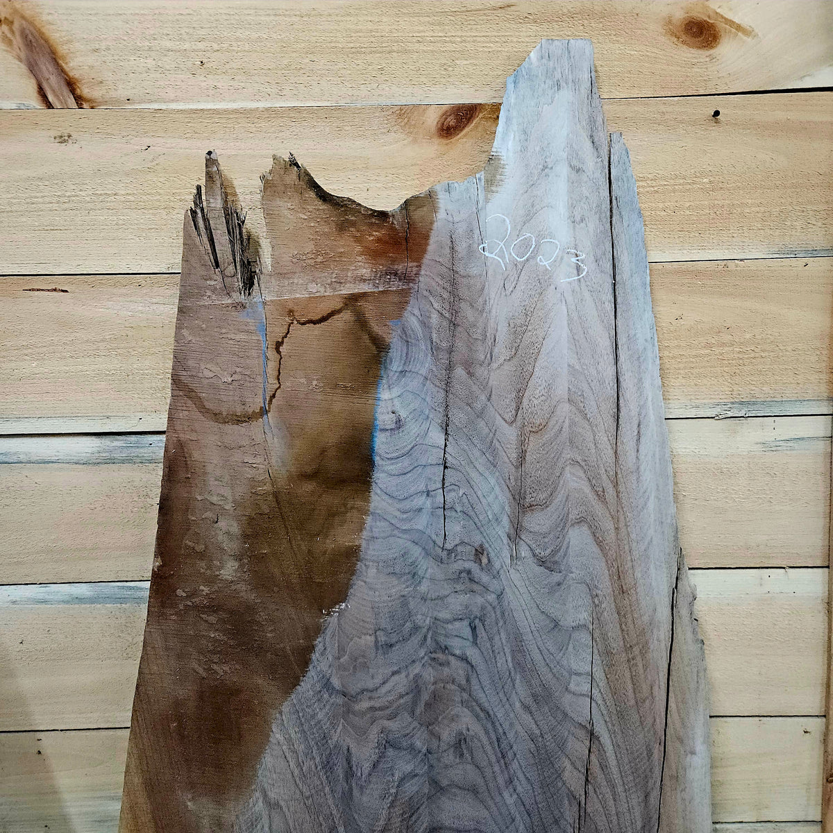 2023 Walnut Live Edge Slab – 41" × 23 - 27" × 9/4"