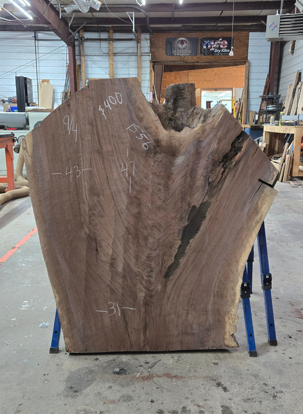 1556 Walnut Slab
