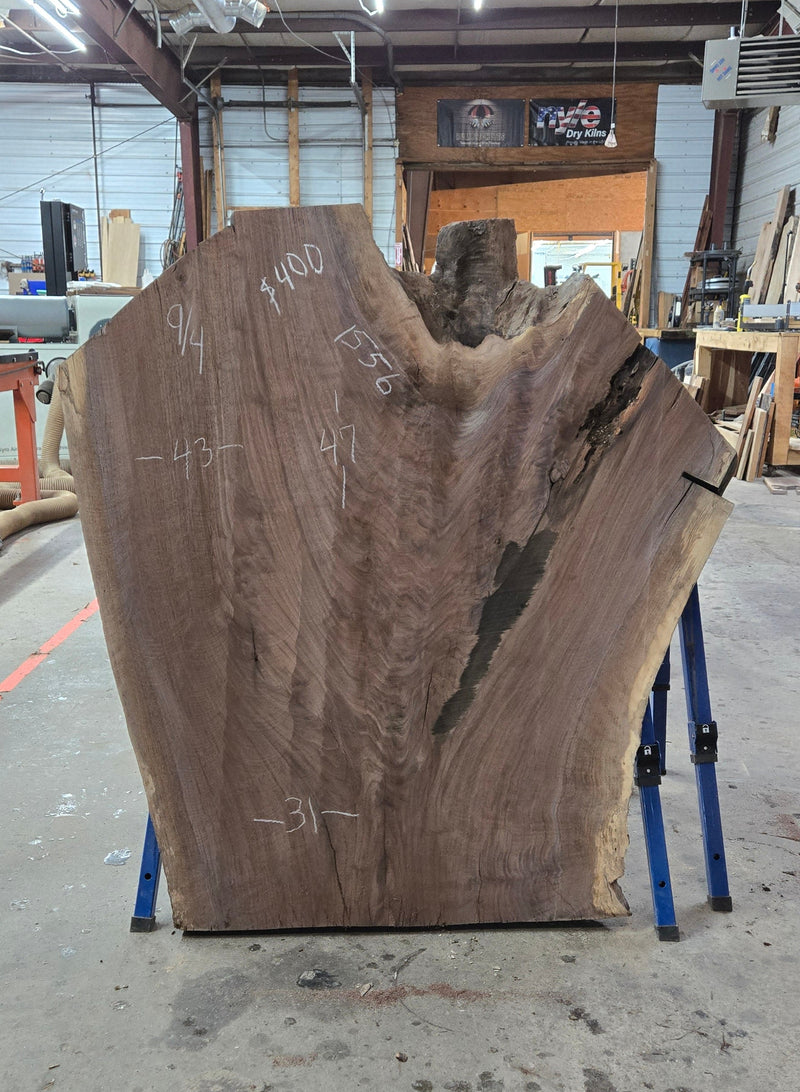 1556 Walnut Slab