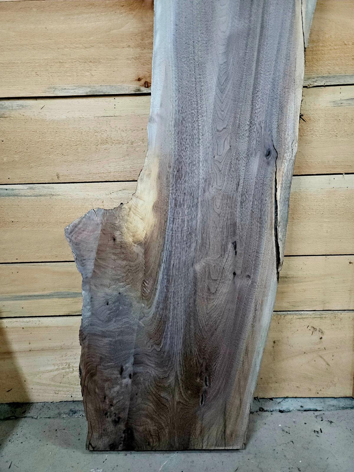 1944 Walnut Live Edge Slab – 49" × 10 - 16" × 7/4" – product image 6