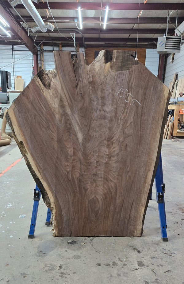1555 Walnut Slab