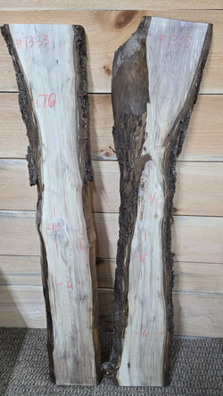 1333 Walnut DIY Bundle