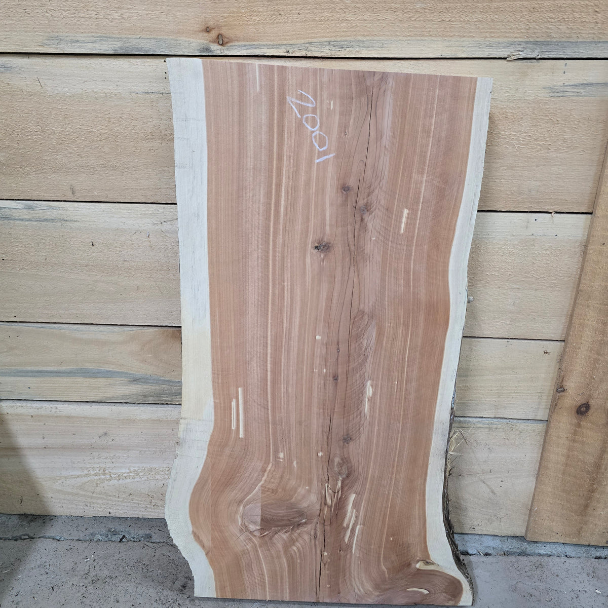 2001 Cedar Live Edge Slab – 31" × 14" × 10/4"
