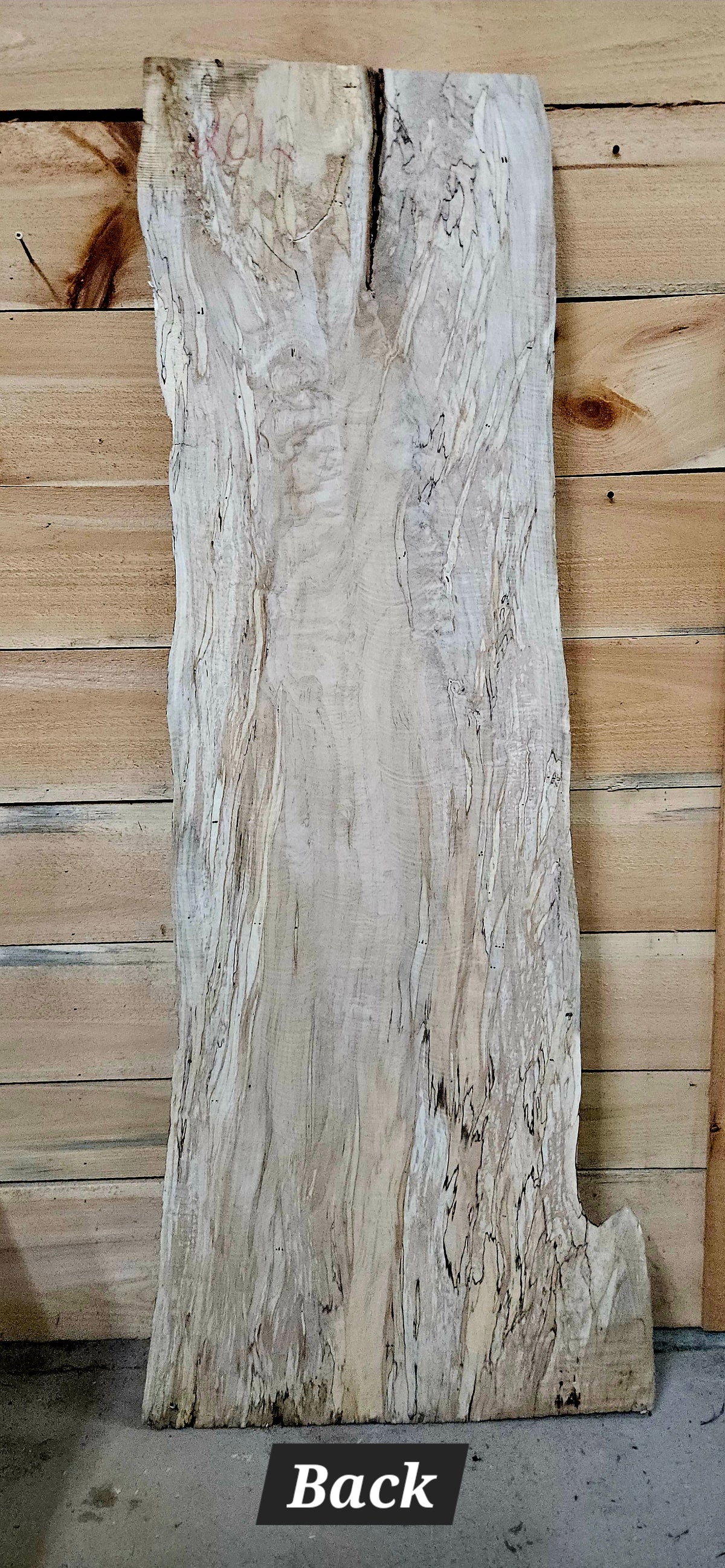 2012 Curly Spalted Ambrosia Maple Live Edge Slab – 65" × 15–20" × 9/4"