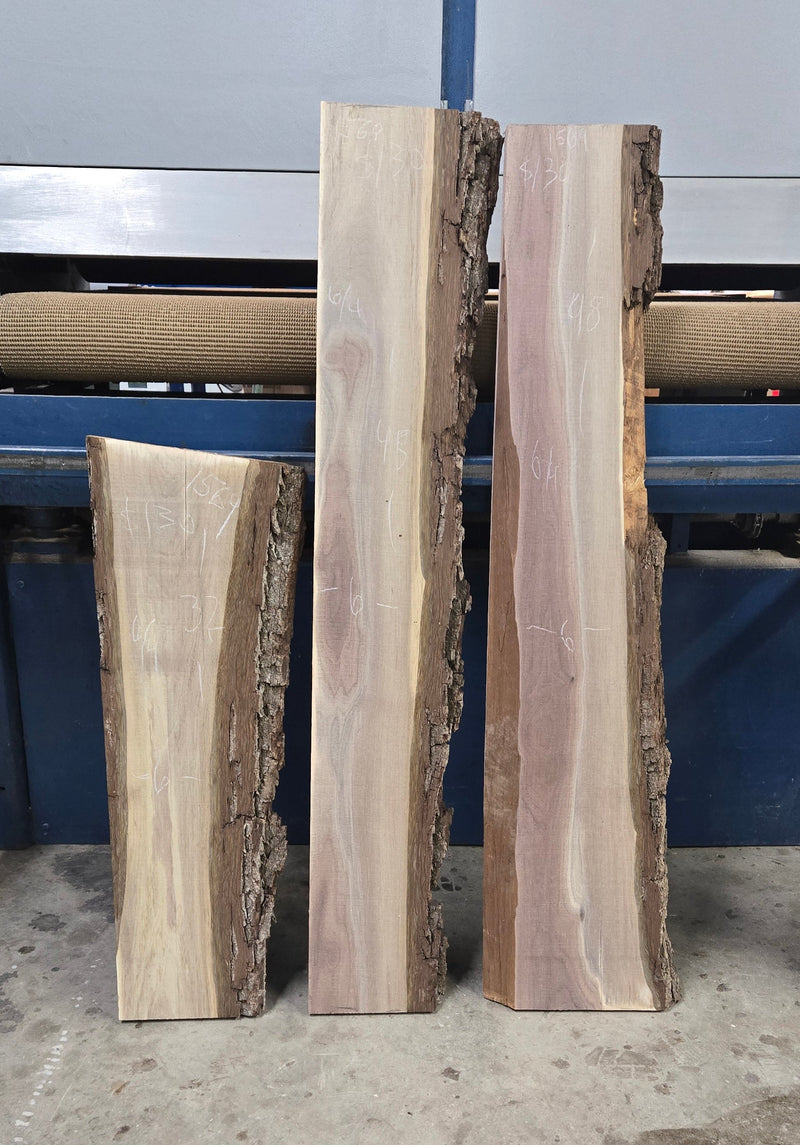 1569 Walnut DIY Bundle