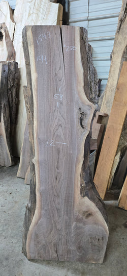 1543 Walnut Slab