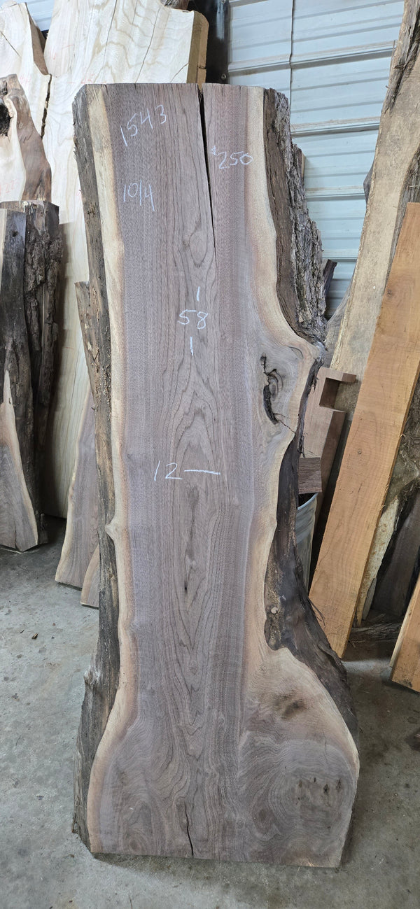 1543 Walnut Slab