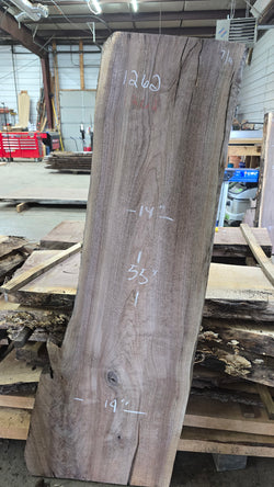 1262 Walnut Slab