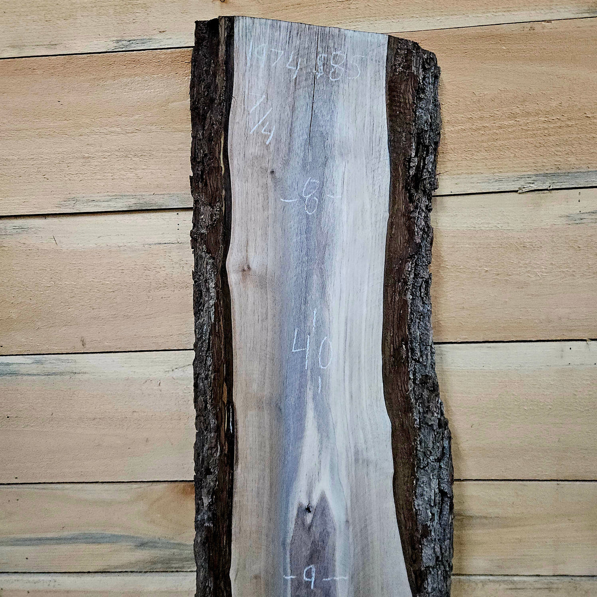 1974 Walnut Live Edge Slab – 40" × 8 - 9" × 7/4"
