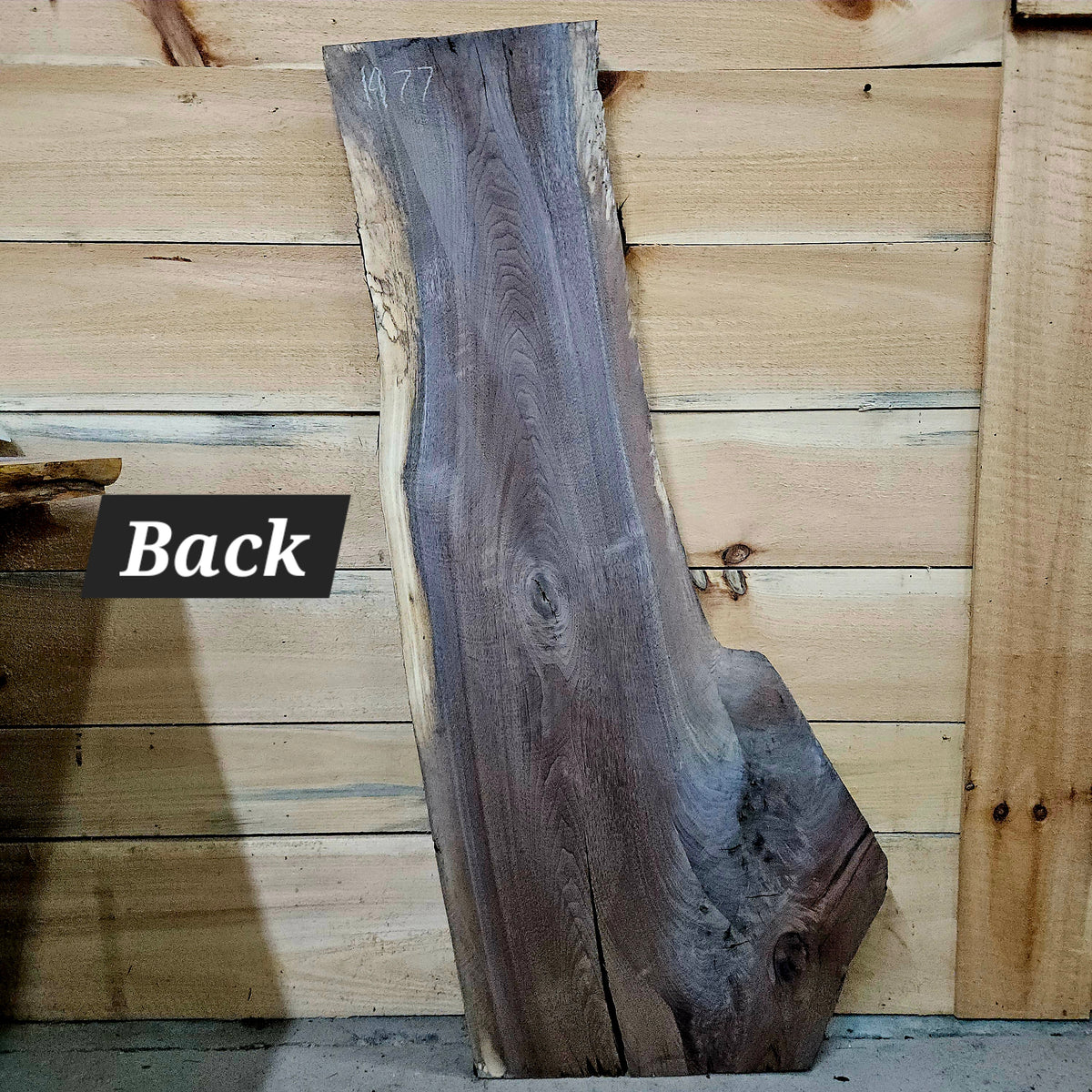 1977 Walnut Live Edge Slab – 50" × 9 - 21" × 8/4"