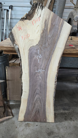 1303 Walnut Slab