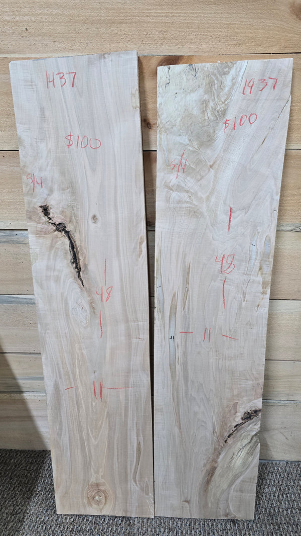 1437 Maple DIY Bundle