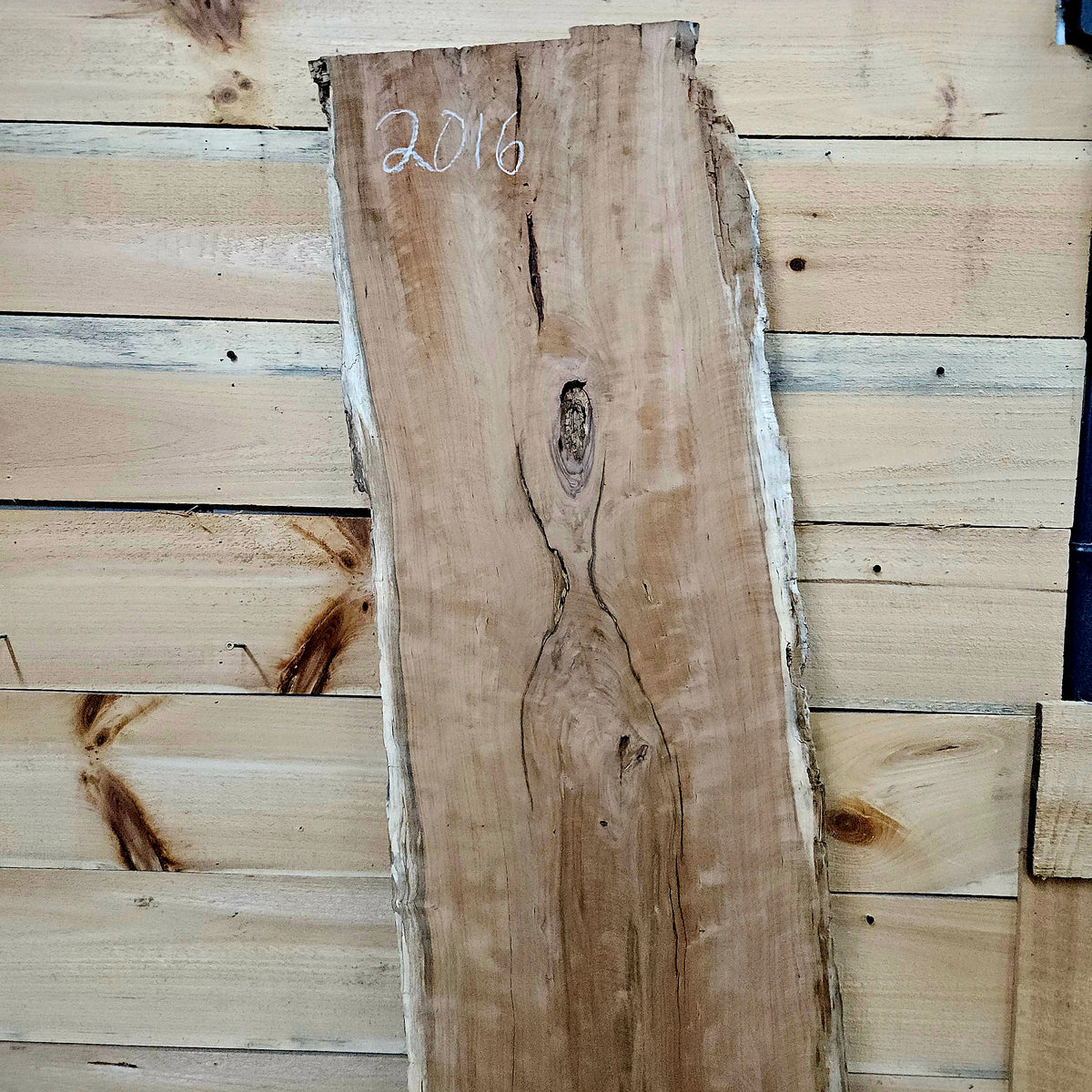 2016 Curly Cherry Live Edge Slab – 83" × 16" × 8/4"