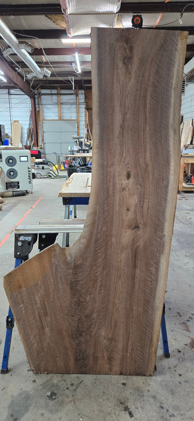 1559 Walnut Slab