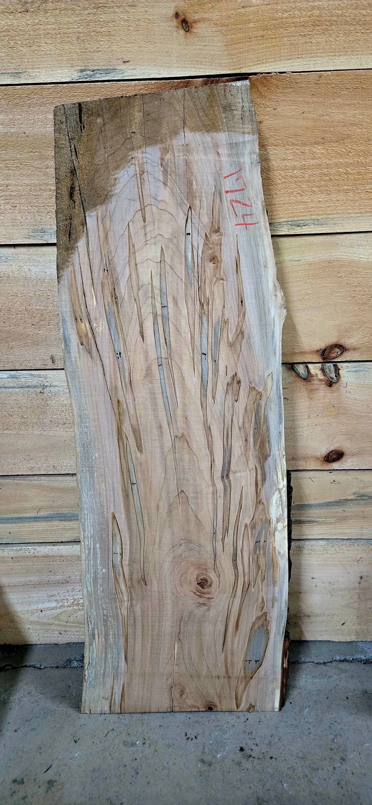 Curly Ambrosia Maple live edge slab #1724, view 2