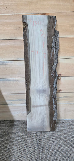 1511 Walnut Slab
