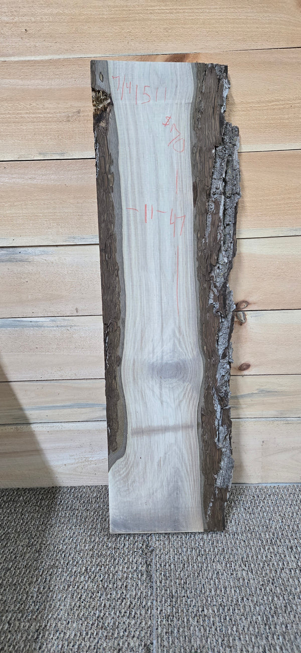 1511 Walnut Slab