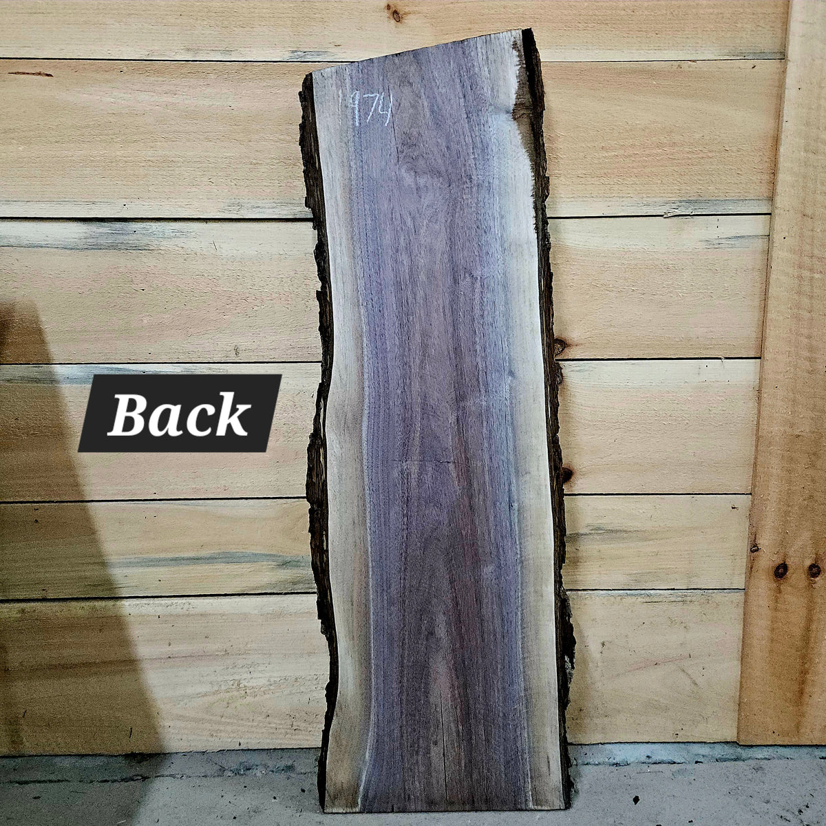 1974 Walnut Live Edge Slab – 40" × 8 - 9" × 7/4"