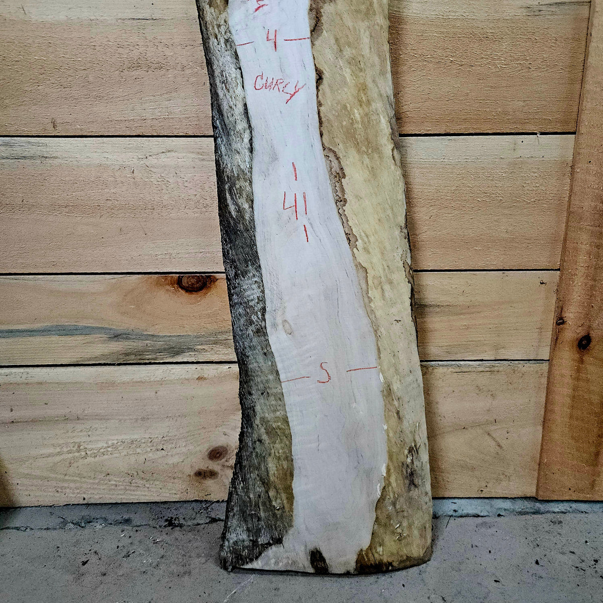 1962 Curly Maple Live Edge Slab – 41" x 4 - 10" × 6/4"