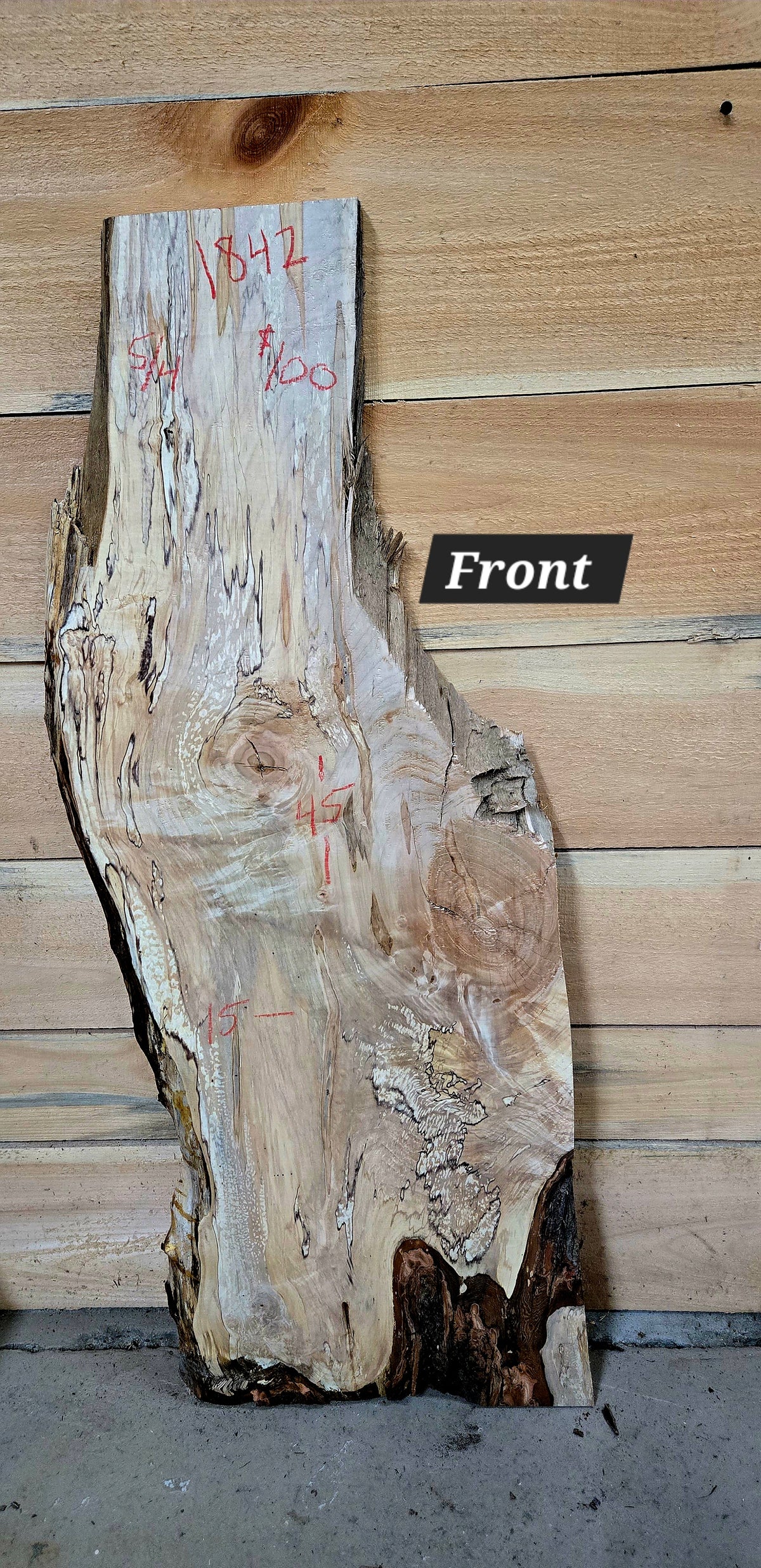 Curly Spalted Ambrosia Maple live edge slab #1842, view 1