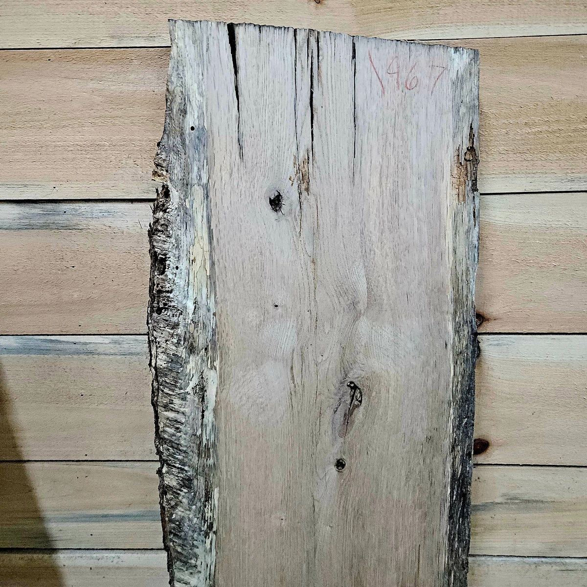 1967 White Oak Live Edge Slab – 40" × 15" × 8/4"