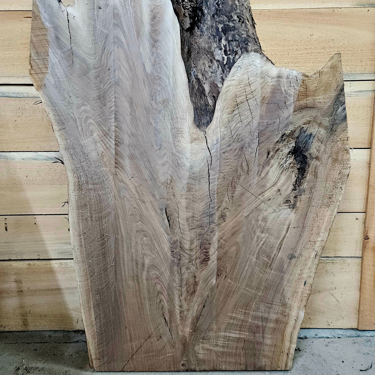 2022 Walnut Live Edge Slab – 45" × 33" × 10/4"