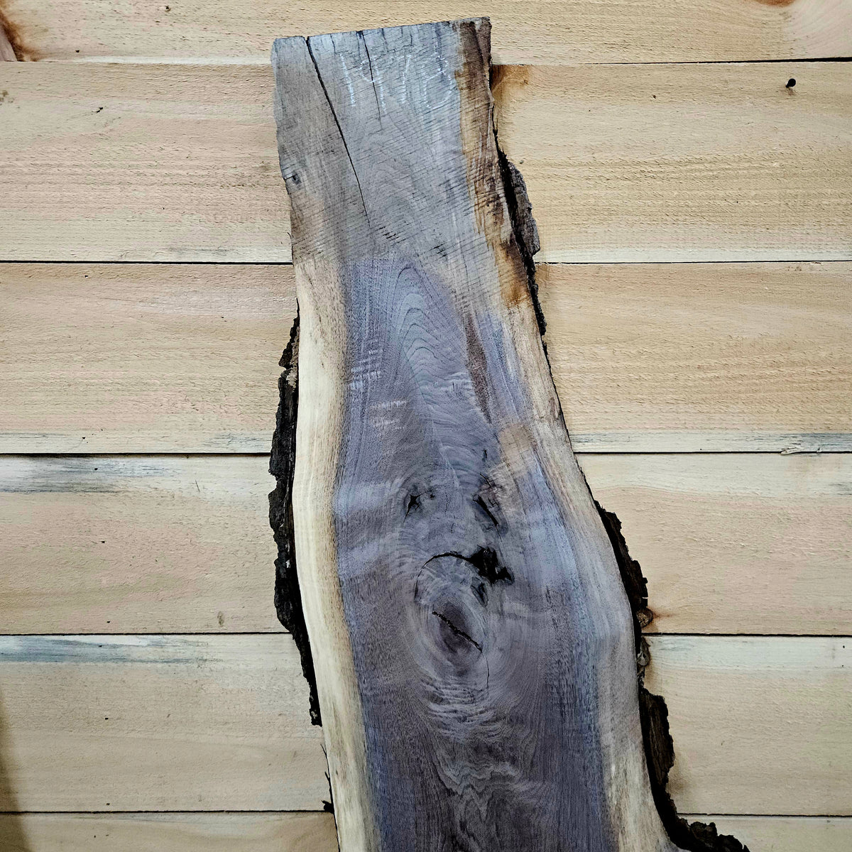 1978 Walnut Live Edge Slab – 50" × 7 - 17" × 6/4"