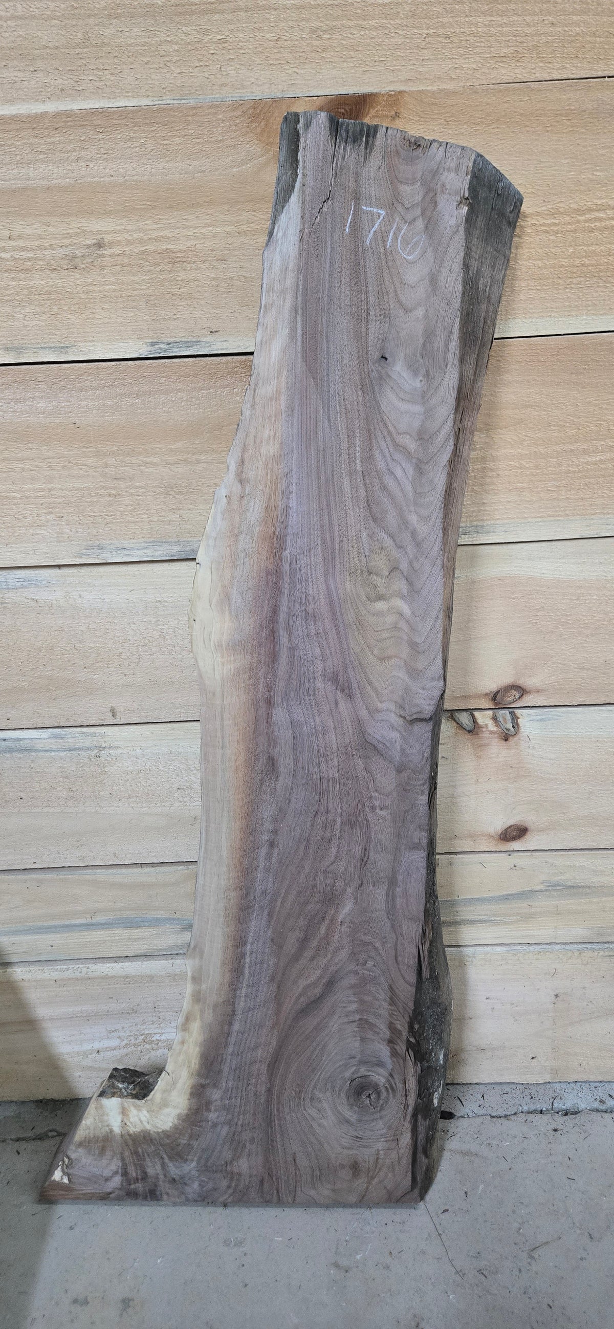 Walnut live edge slab #1716, view 2