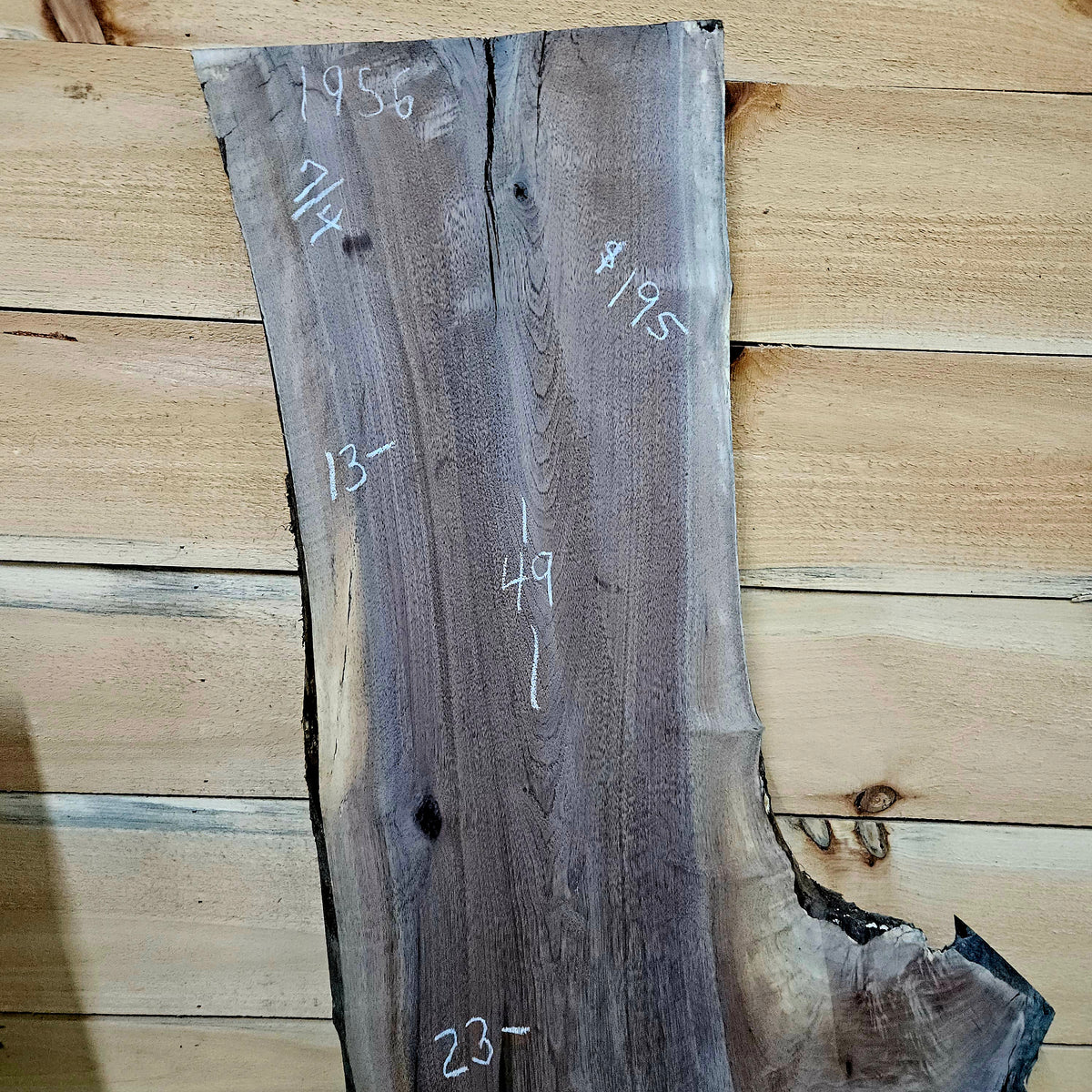 1956 Walnut Live Edge Slab – 49" ×  13" - 23" × 7/4"