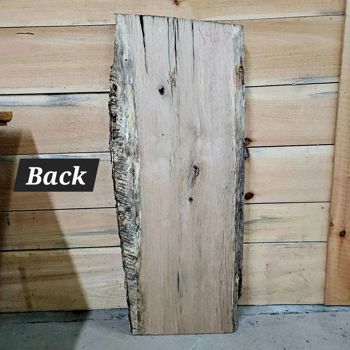 1967 White Oak Live Edge Slab – 40" × 15" × 8/4"