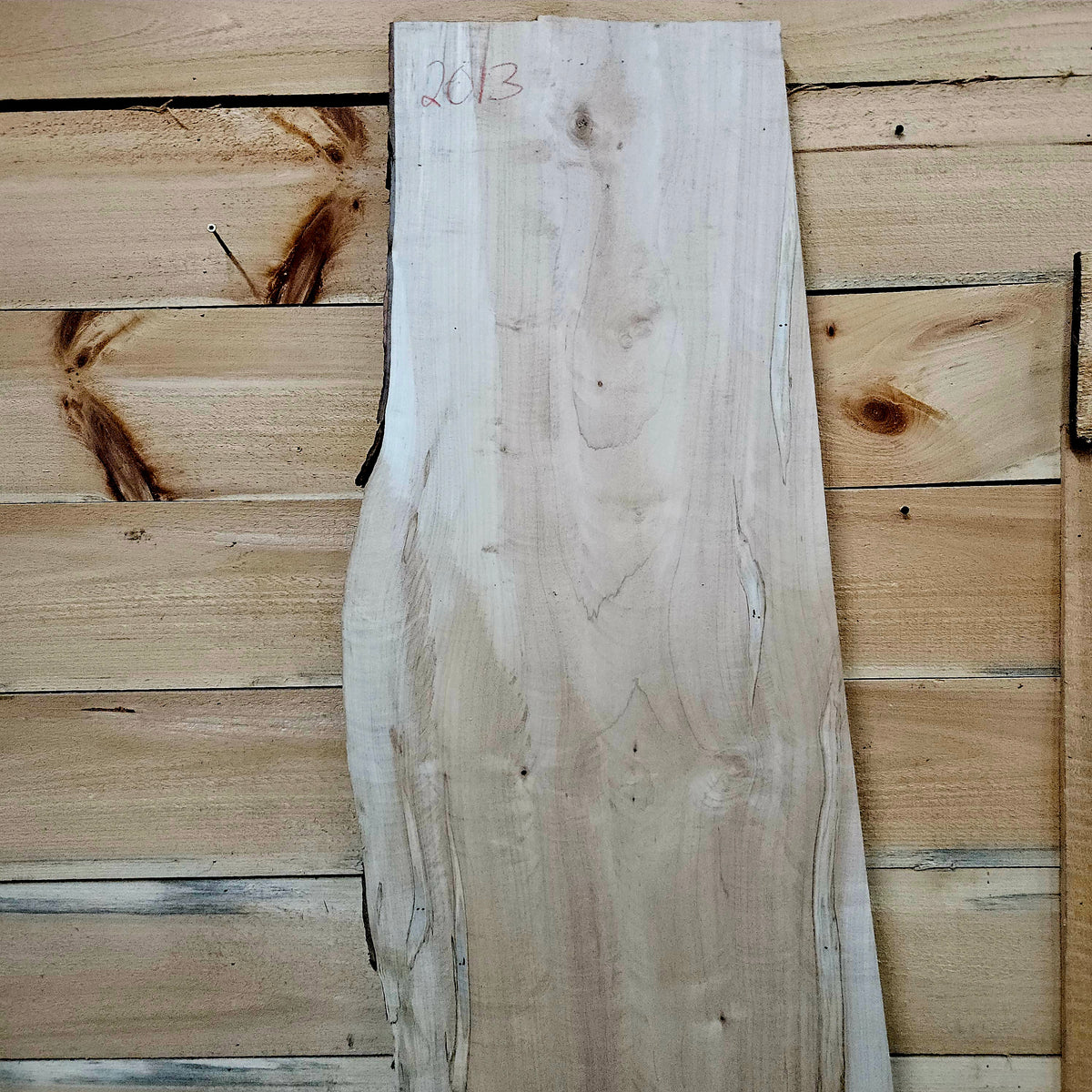 2013 Curly Ambrosia Maple Live Edge Slab – 66" × 20" × 6/4"