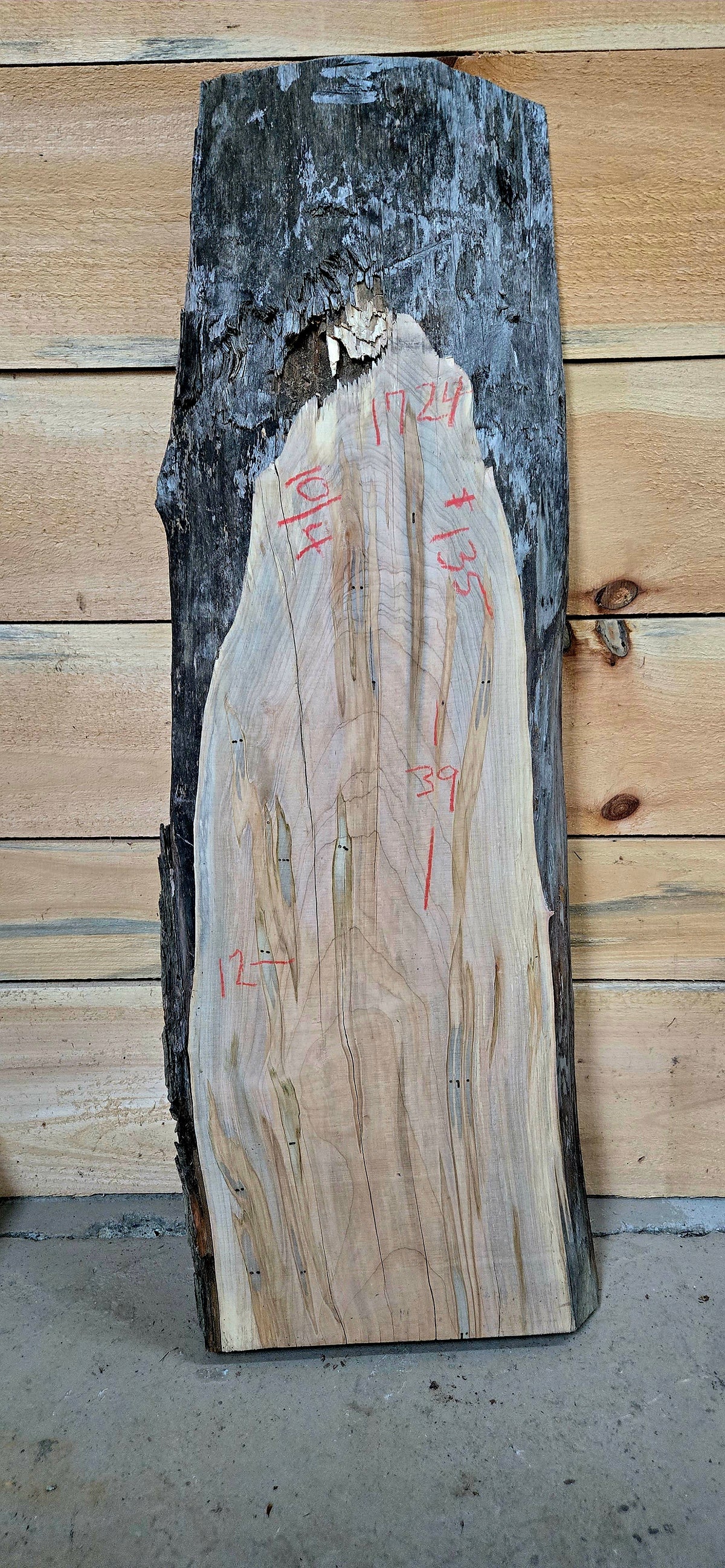 Curly Ambrosia Maple live edge slab #1724, view 1